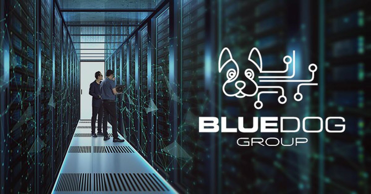 BlueDog Data